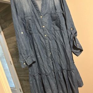 New plus Jean dress